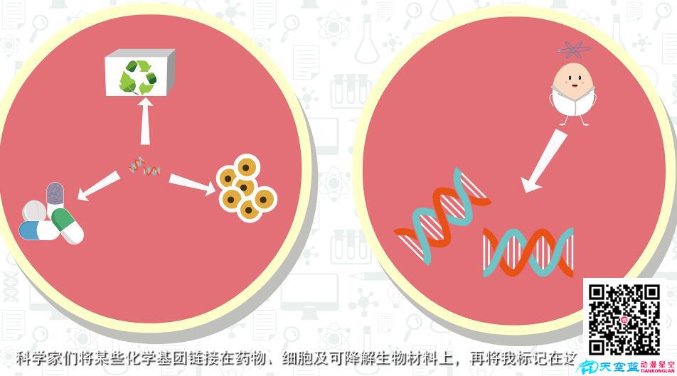 醫(yī)學(xué)動(dòng)畫公司