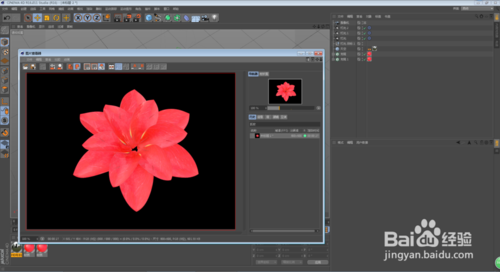 C4D怎么制作花朵開(kāi)放的動(dòng)畫(huà)效果
