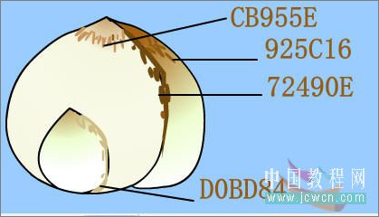 Flash繪畫技巧實例:鼠繪好看的水仙花