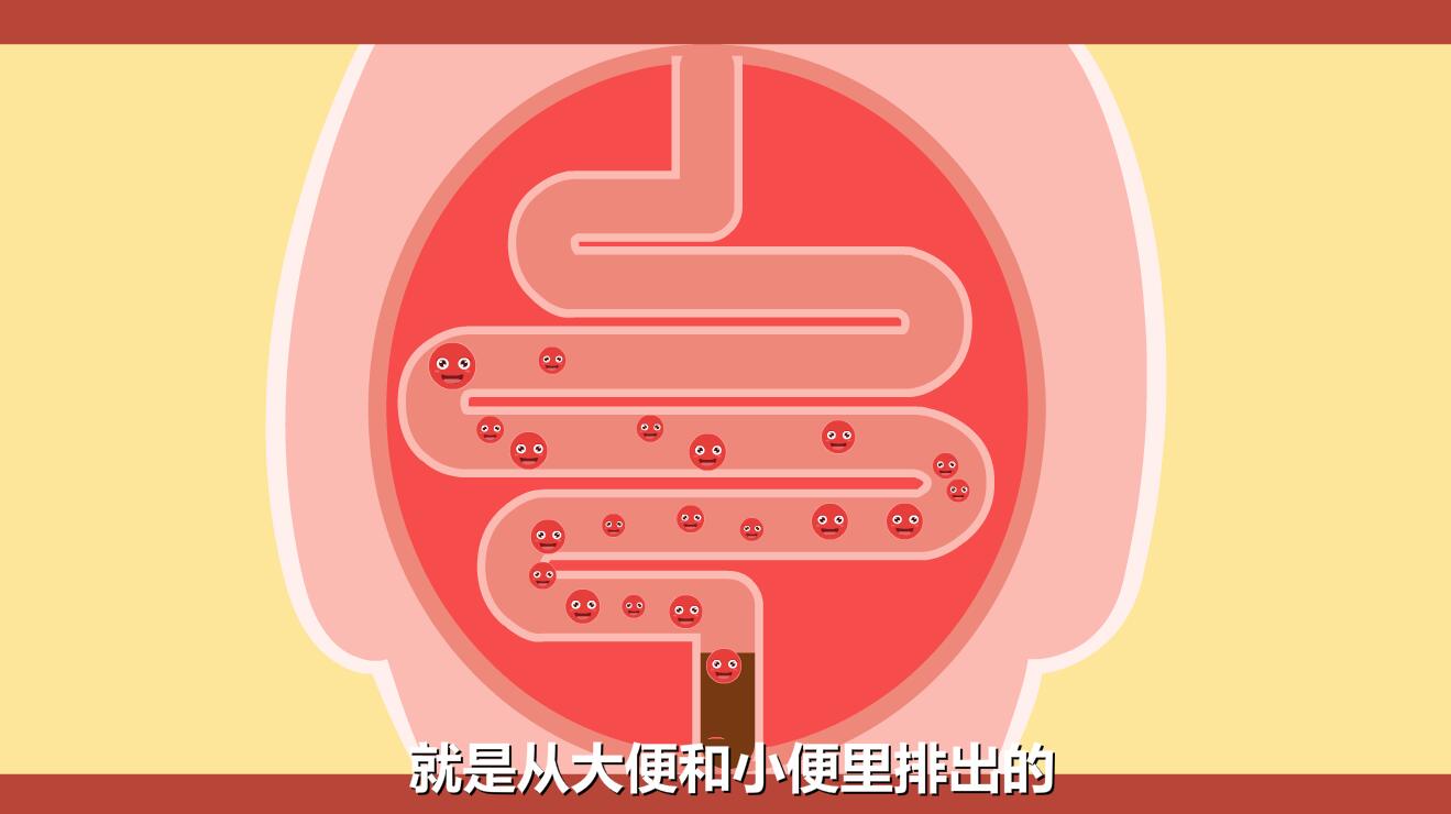 新生兒黃疸怎么退的快？膽紅素跟隨大小便排除體外.jpg