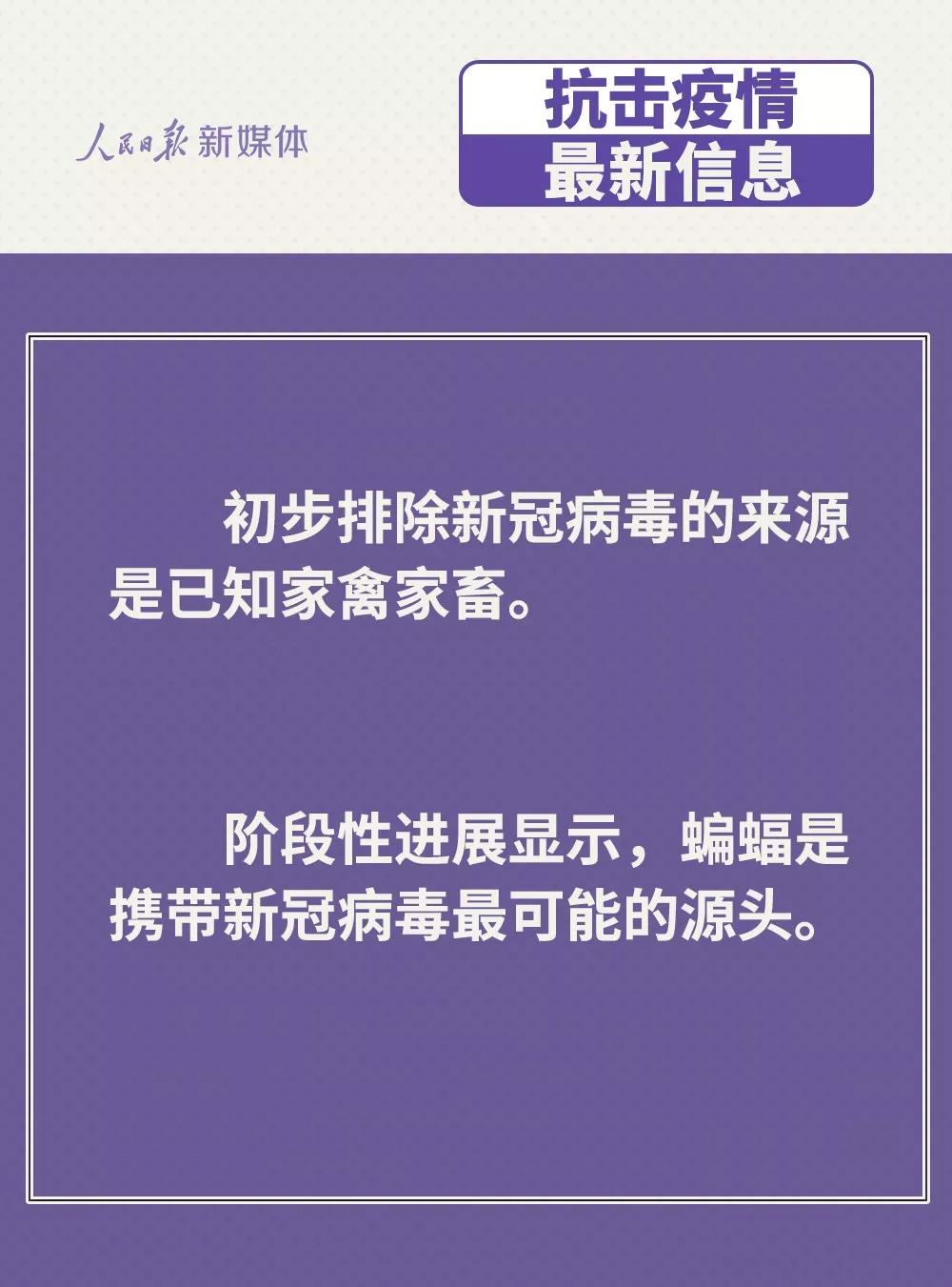 防控新型冠狀病毒：雞鴨會(huì)傳播病毒？疫苗研究得怎樣？.jpg