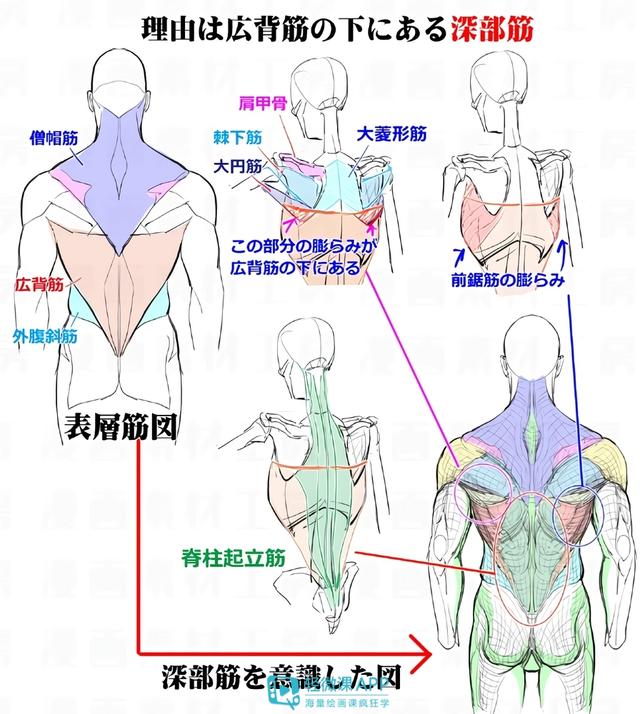 黃鶴樓動漫