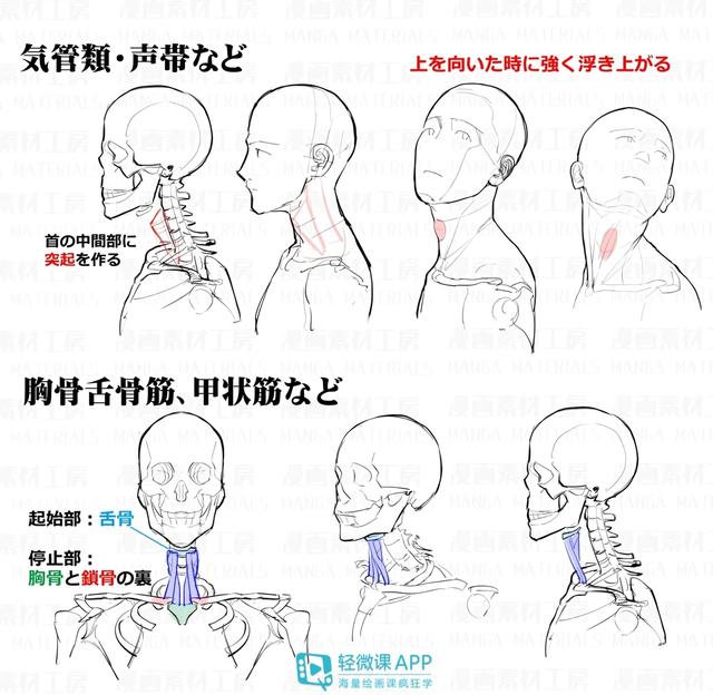 黃鶴樓動漫