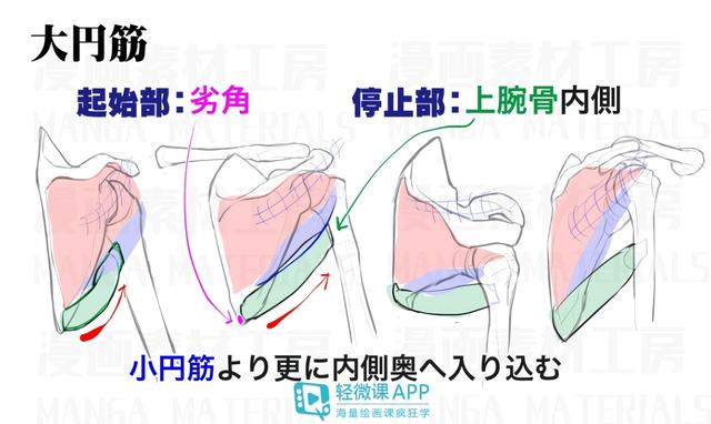 黃鶴樓動漫