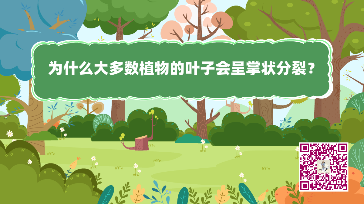 十萬個為什么標(biāo)題（植物的葉子）1200.png