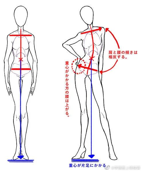 人體動(dòng)勢(shì)線與姿勢(shì)參考，學(xué)畫畫收藏不虧