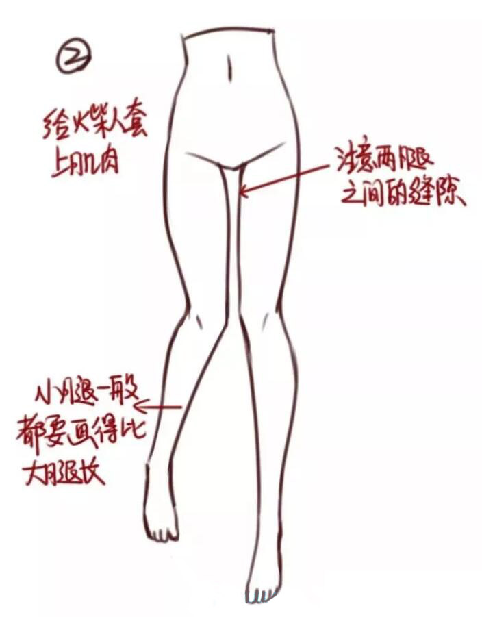 腿部教程（女性）大腿結(jié)構(gòu)畫法教程2.jpg