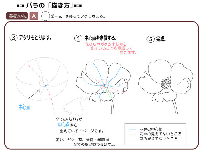 各種花的簡單畫法，一步一步教你畫鮮花