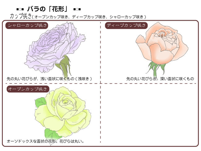 各種花的簡單畫法，一步一步教你畫鮮花