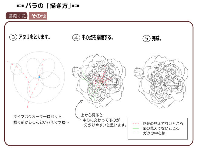 各種花的簡單畫法，一步一步教你畫鮮花