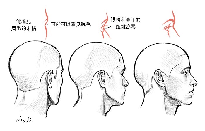 從側(cè)面的狀態(tài)觀看時(shí)，人物轉(zhuǎn)向另一側(cè)後，就只能看見眉毛和睫毛.jpg