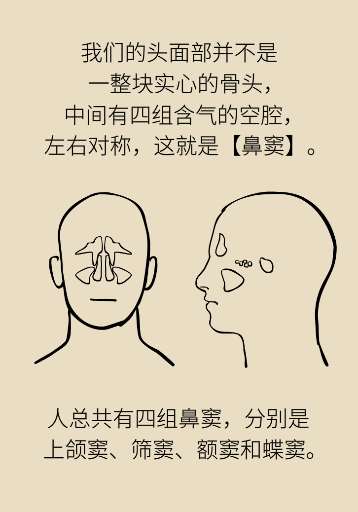 為什么鼻竇發(fā)炎，疼的卻是頭、眼和牙？