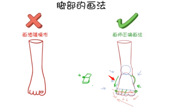 腳掌對腳后跟有一個(gè)遮擋的關(guān)系，所以在畫正面腳的時(shí)候，一定要注意.png