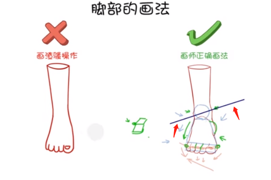 在腳腕的地方，畫出一些凸出來的踝關(guān)節(jié)，一定要記住里面的踝關(guān)節(jié)會比外面的踝關(guān)節(jié)要高，能形成一個(gè)傾斜的坡度。.png