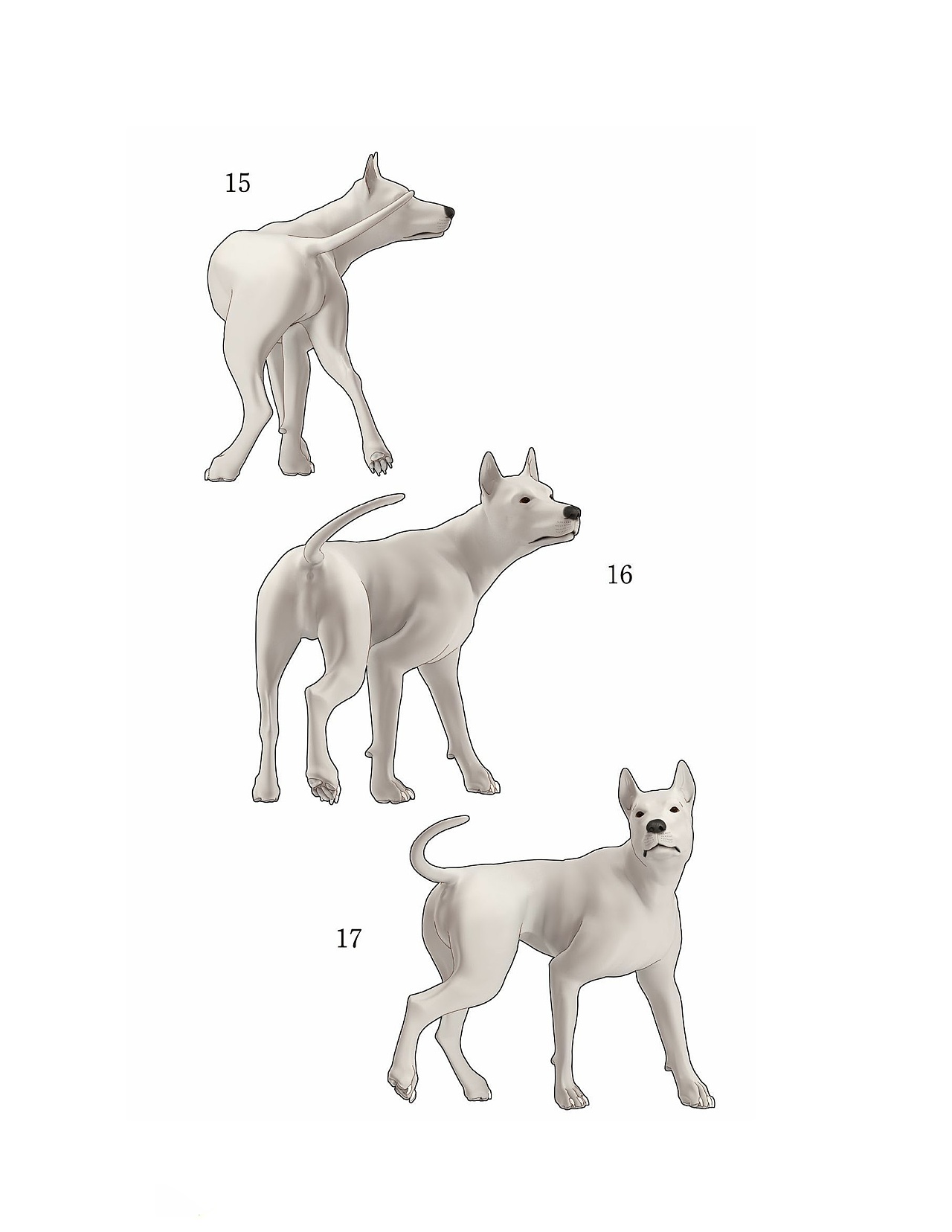 貓怎么畫，狗狗怎么畫？貓、犬の繪畫方法