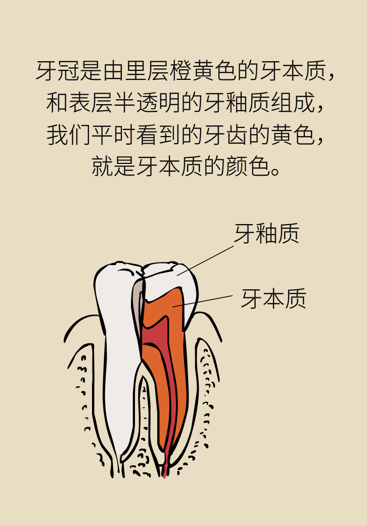 牙太黃，這些“美白”方法管用嗎？