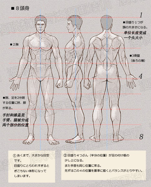 零基礎(chǔ)學(xué)繪畫教程！如何正確掌握繪畫人體結(jié)構(gòu)？