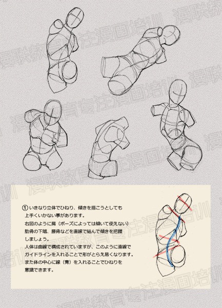 零基礎(chǔ)學(xué)繪畫教程！如何正確掌握繪畫人體結(jié)構(gòu)？