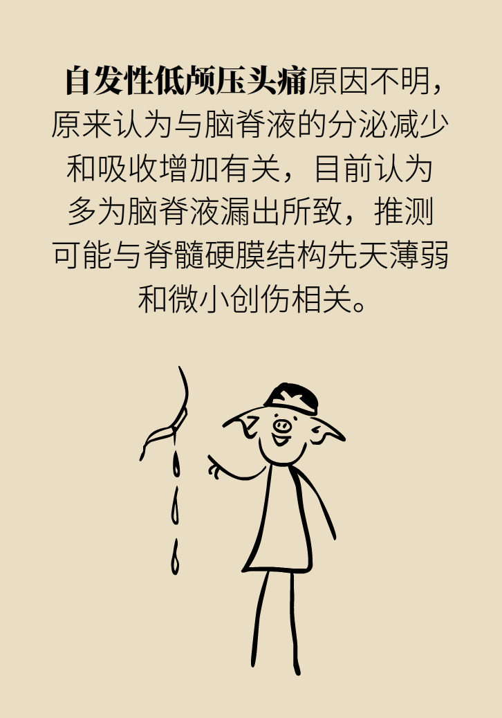 練瑜伽把腦脊液拉漏了！常見的“瑜伽病”你知道多少