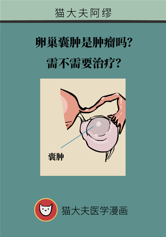 卵巢囊腫科普動(dòng)漫：卵巢囊腫是腫瘤嗎？要學(xué)會(huì)這樣區(qū)分