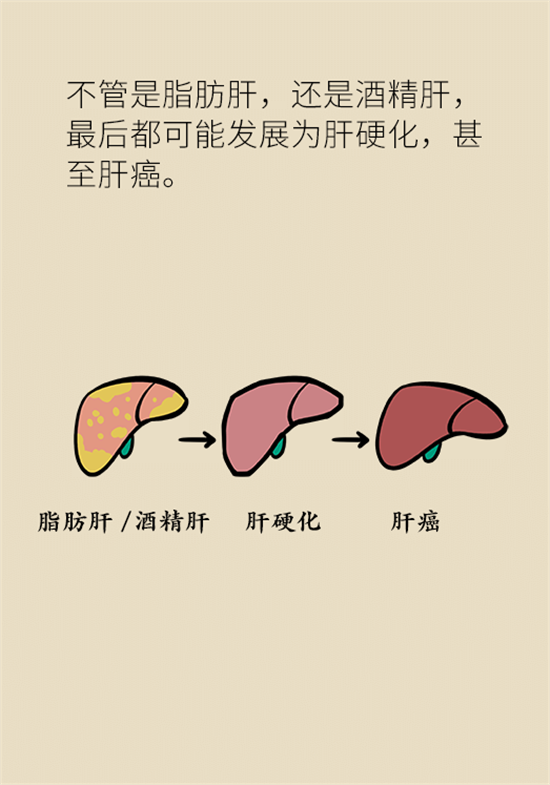 喝酒之后會傷肝？這個因素很重要