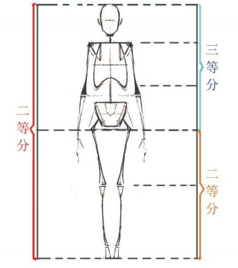 「動(dòng)漫設(shè)計(jì)教程」人體繪畫基礎(chǔ) part 01 認(rèn)識(shí)骨骼（1）