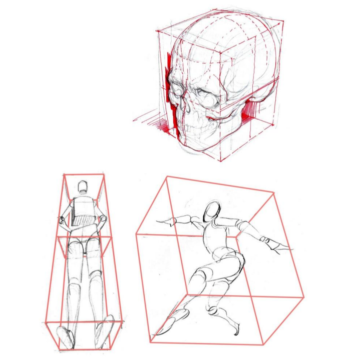「動漫設(shè)計」人體繪畫基礎(chǔ) part 01 認(rèn)識骨骼（2）