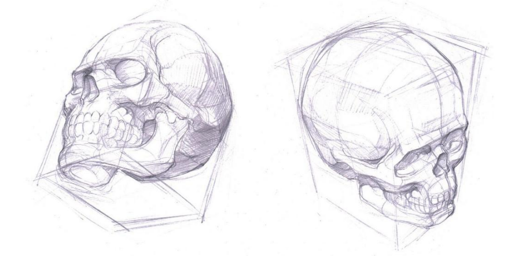 「動漫設(shè)計」人體繪畫基礎(chǔ) part 01 認(rèn)識骨骼（2）