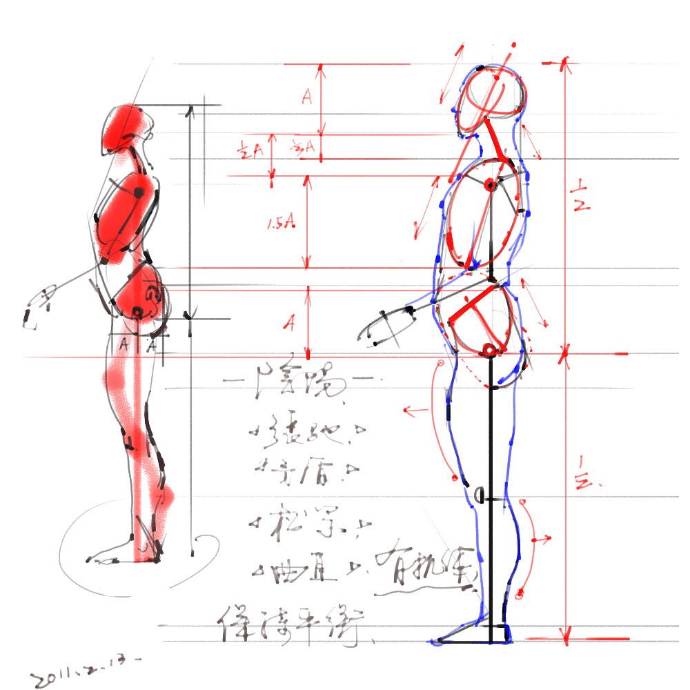 「動(dòng)漫設(shè)計(jì)」分享一波繪畫專用人體解剖素材 part 01