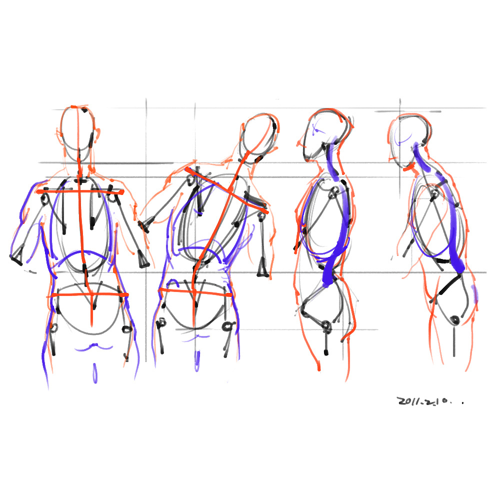 「動(dòng)漫設(shè)計(jì)」分享一波繪畫專用人體解剖素材 part 01
