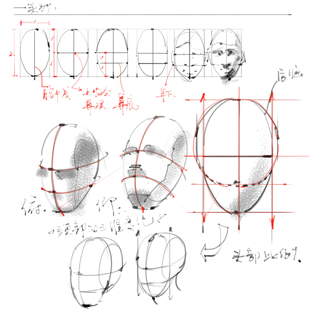 「動(dòng)漫設(shè)計(jì)」分享一波繪畫專用人體解剖素材 part 01