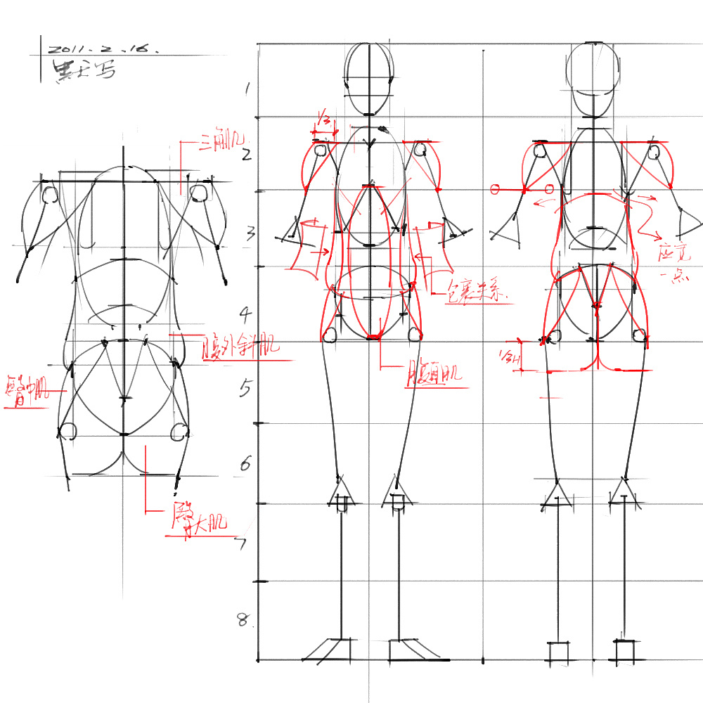 「動漫設(shè)計」分享一波繪畫專用人體解剖素材 part 03