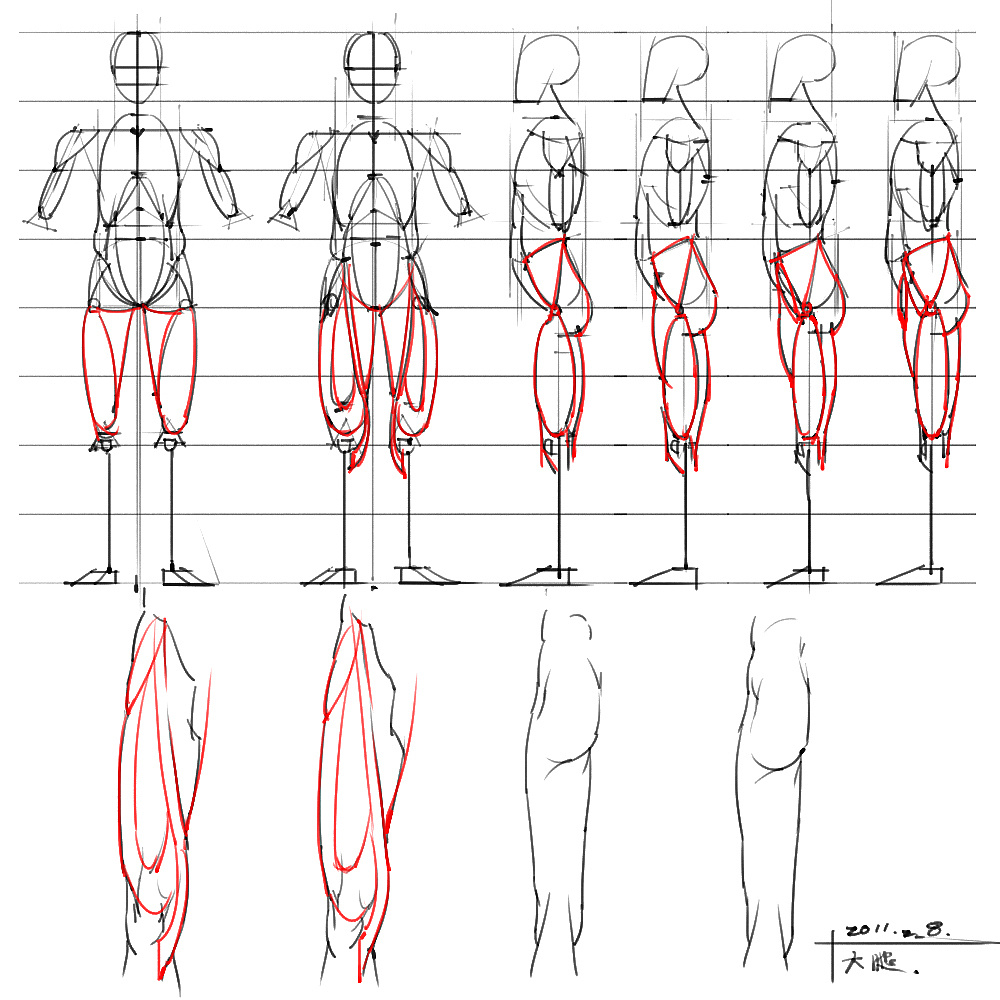 「動(dòng)漫設(shè)計(jì)」分享一波繪畫(huà)專(zhuān)用人體解剖素材 part 04