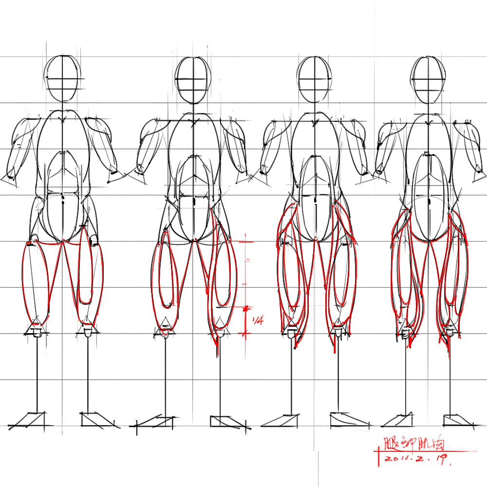 「動(dòng)漫設(shè)計(jì)」分享一波繪畫(huà)專(zhuān)用人體解剖素材 part 04