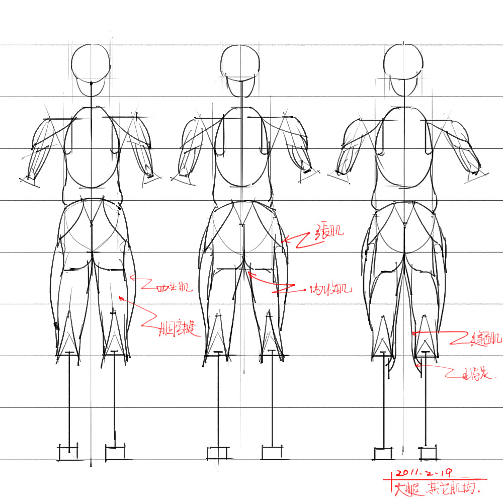 「動(dòng)漫設(shè)計(jì)」分享一波繪畫(huà)專(zhuān)用人體解剖素材 part 04