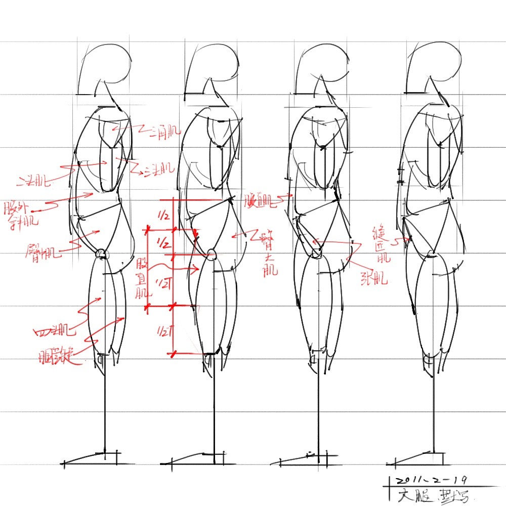 「動(dòng)漫設(shè)計(jì)」分享一波繪畫(huà)專(zhuān)用人體解剖素材 part 04