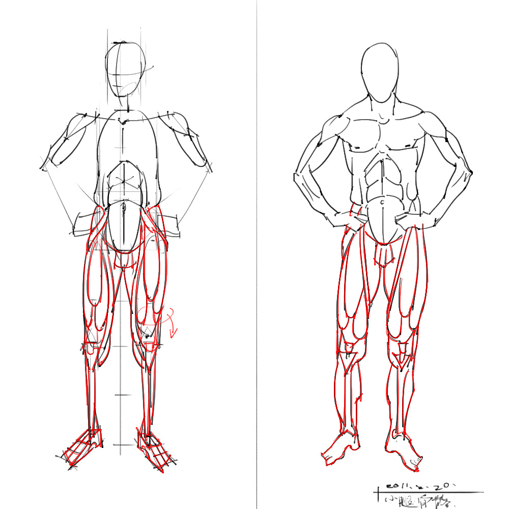 「動(dòng)漫設(shè)計(jì)」分享一波繪畫(huà)專(zhuān)用人體解剖素材 part 04
