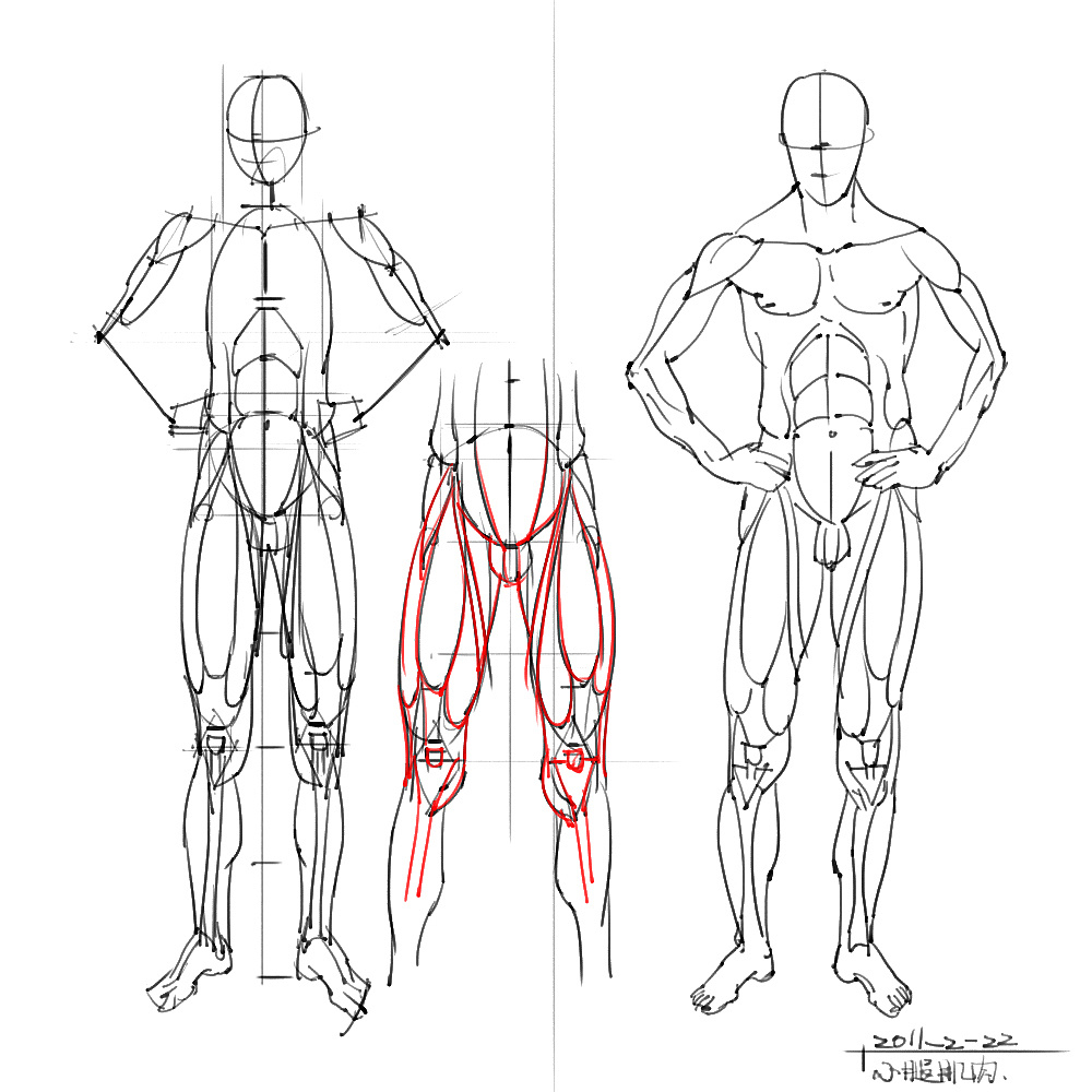 「動(dòng)漫設(shè)計(jì)」分享一波繪畫專用人體解剖素材 part 05