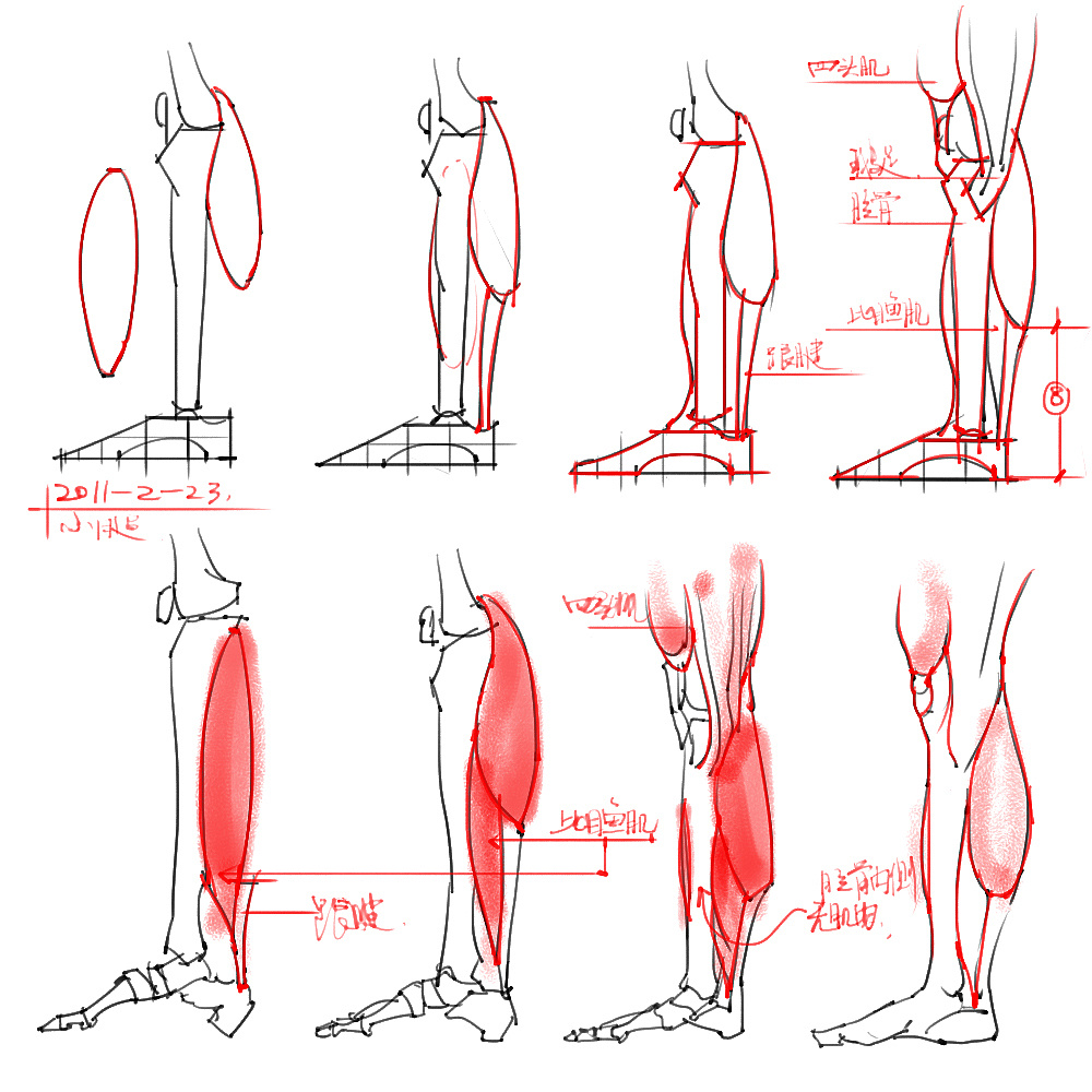 「動(dòng)漫設(shè)計(jì)」分享一波繪畫專用人體解剖素材 part 05