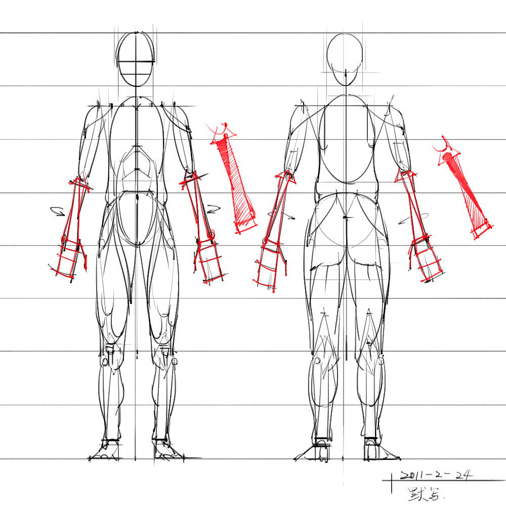 「動(dòng)漫設(shè)計(jì)」分享一波繪畫專用人體解剖素材 part 05