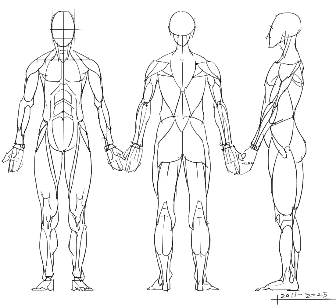 「動(dòng)漫設(shè)計(jì)」分享一波繪畫專用人體解剖素材 part 05