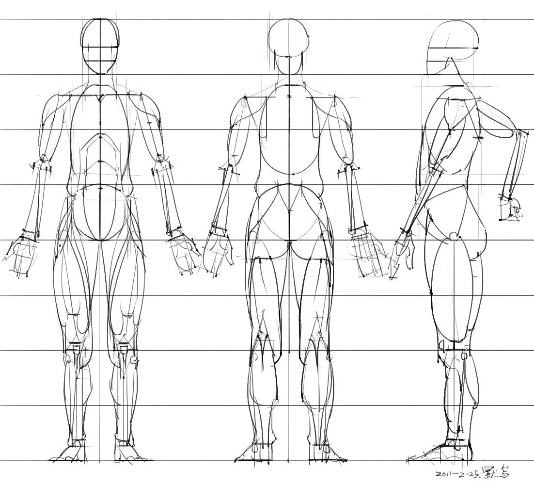 「動(dòng)漫設(shè)計(jì)」分享一波繪畫專用人體解剖素材 part 05
