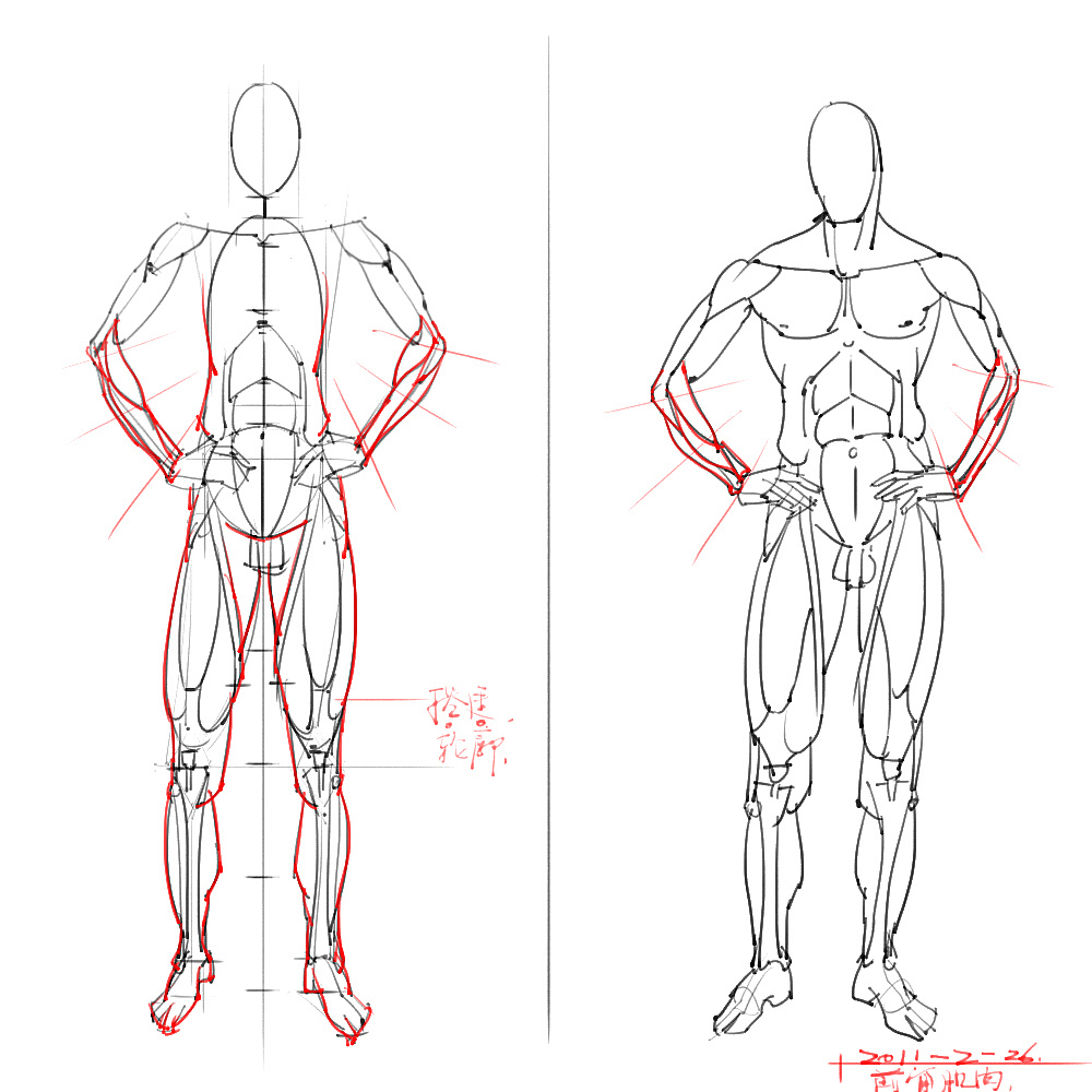 「動(dòng)漫設(shè)計(jì)」分享一波繪畫(huà)專(zhuān)用人體解剖素材 part 06
