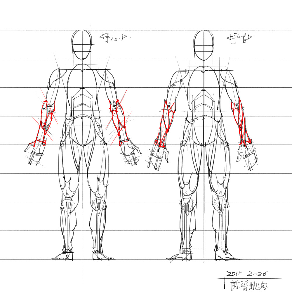 「動(dòng)漫設(shè)計(jì)」分享一波繪畫(huà)專(zhuān)用人體解剖素材 part 06