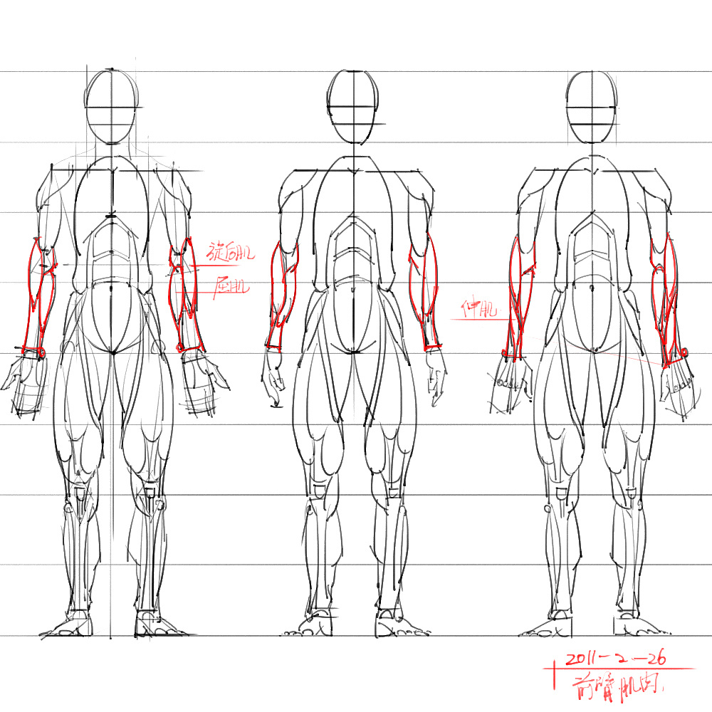 「動(dòng)漫設(shè)計(jì)」分享一波繪畫(huà)專(zhuān)用人體解剖素材 part 06