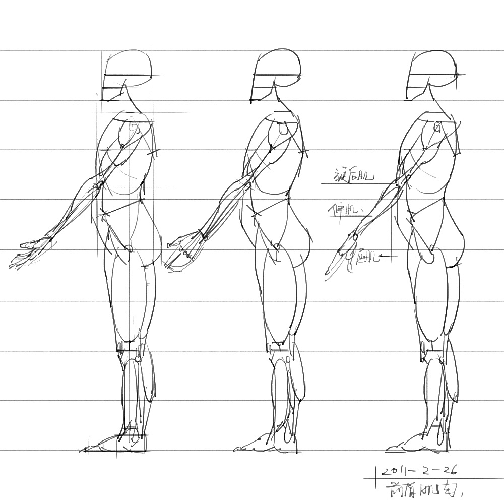 「動(dòng)漫設(shè)計(jì)」分享一波繪畫(huà)專(zhuān)用人體解剖素材 part 06