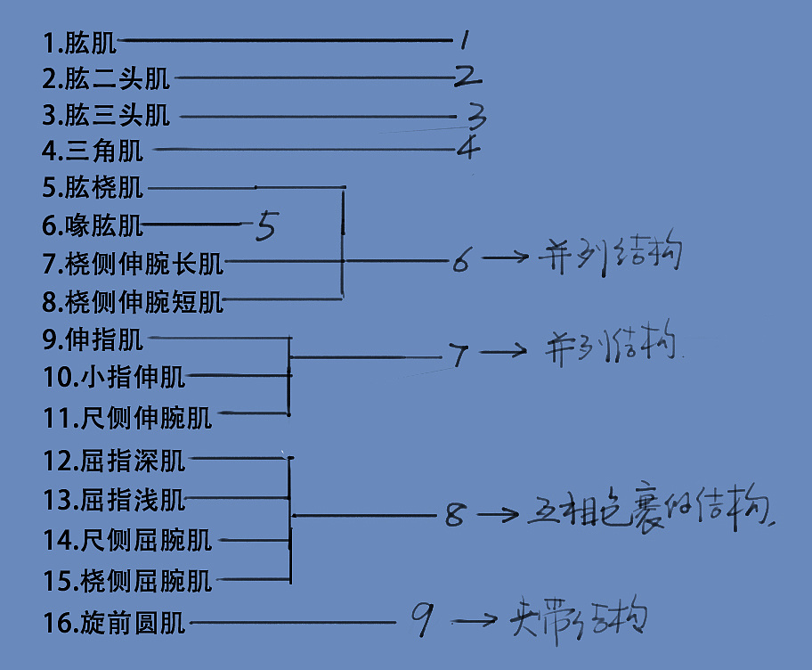 「動漫設(shè)計」分享一波繪畫專用人體解剖素材 part 07