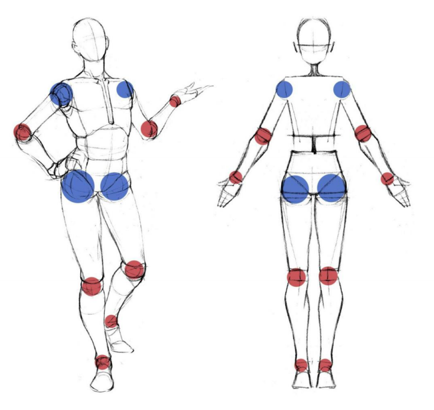 「動漫設計」人體繪畫進階 part 02 四大點八小點