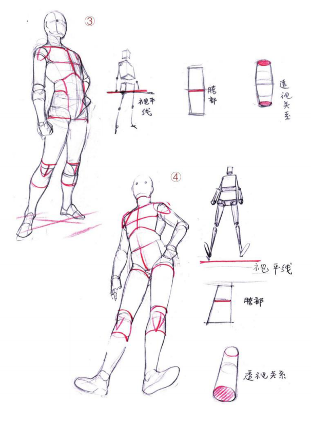 「動漫設計」人體繪畫進階 part 02 四大點八小點