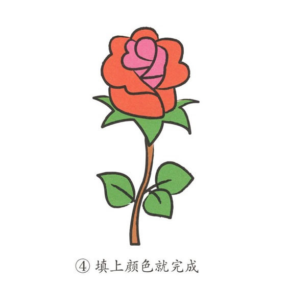 玫瑰花簡(jiǎn)筆畫彩色圖片